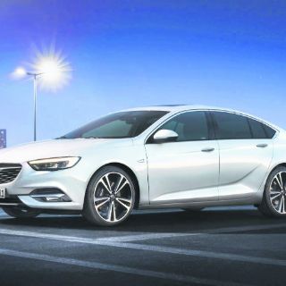 El último en su especie