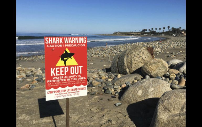 La mujer se encontraba nadando en el mar con sus amigos en una playa popular del sur de California. AP / L. Connelly