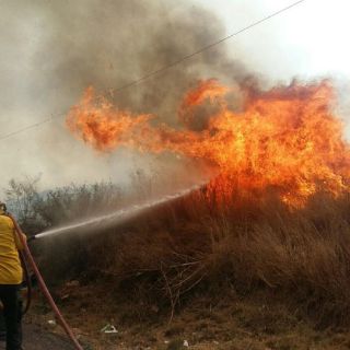 Esperan brigadistas de otros estados en La Primavera