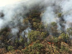 Señalan que la situación puede ser originada por el olor a quemado generado por el incendio en el Bosque de la Primavera. TWITTER / @PCJalisco