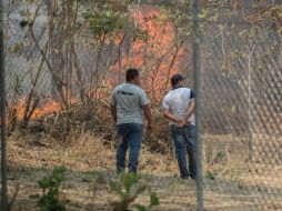 Desde las 16:15 horas del lunes se registró un incendio en La Primavera, al poniente de El Bajío en Pinar de la Venta. EL INFORMADOR / G. Gallo