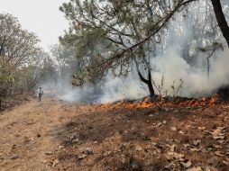 Pese a la contingencia ambiental, la red de monitoreo calificó todo el día la calidad del aire como buena en el Poniente de la ciudad. EL INFORMADOR / G. Gallo
