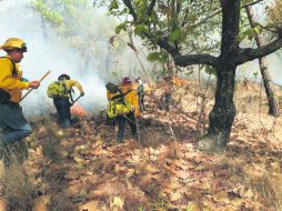 Más de 500 brigadistas acudieron al llamado para sofocar el fuego que desde el lunes inició en La Primavera. ESPECIAL /