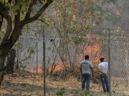 Autoridades del Bosque refieren que los tres incendios del martes fueron apagados ese mismo día. EL INFORMADOR / G. Gallo