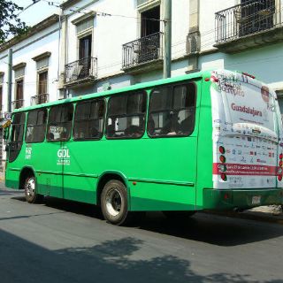 Restringen publicidad en camiones