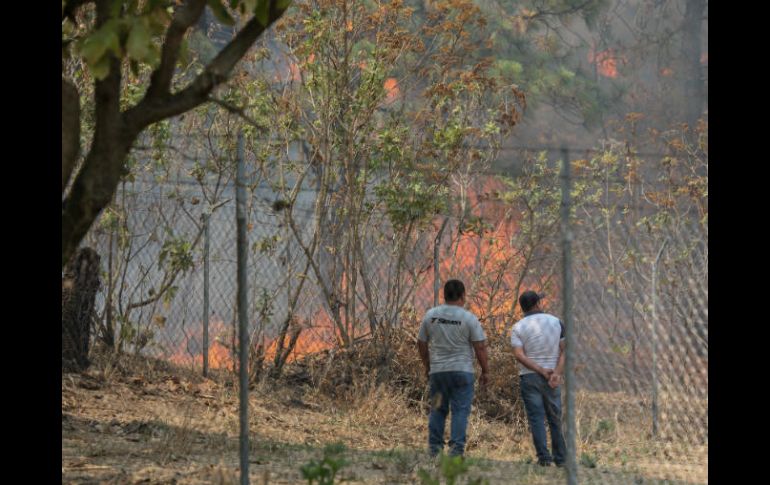 La Semadet decretó emergencia atmosférica por el incendio en el Bosque de La Primavera. EL INFORMADOR / ARCHIVO