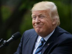 Tras el encuentro con el Papa, el nuevo presidente de Estados Unidos, partirá a Bruselas para cumbre de la OTAN. AFP / M. Ngan