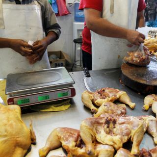 Reportan brote de gripe aviar en Jalisco