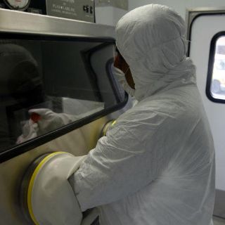 Vigilarán que no se especule con los precios ante el brote de gripe aviar