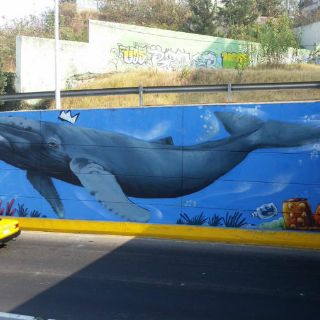 Pintan mural en bajo puente de Periférico y Acueducto