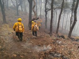 El incendio en el Volcán de Tequila reporta un avance en la contención de 75 por ciento. TWITTER / @CONAFOR