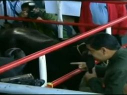 Rodeado de funcionarios y militares, Nicolás Maduro ha señalado que ‘en las próximas semanas’ se elegirá a los constituyentes. YOUTUBE / El Acertijo Cretino