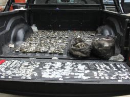 Las drogas confiscadas fueron puestas a disposición del Ministerio Público. ESPECIAL / Policía de Guadalajara