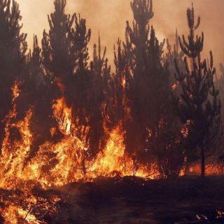Ordenan evacuaciones por incendio en el sur de Georgia