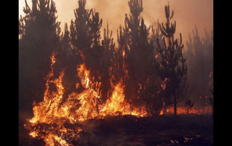 El administrador del condado se abstuvo de precisar el número de habitantes que serían afectados en Shawn Boatright. EFE / ARCHIVO