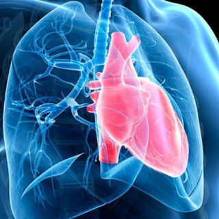 Falta de aire puede indicar hipertensión pulmonar, alerta especialista