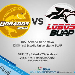 Final del Ascenso MX será en sábado 13 y 20 de mayo