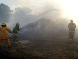 Brigadistas municipales combatieron el incendio en la Sierra del Águila. EL INFORMADOR / ARCHIVO