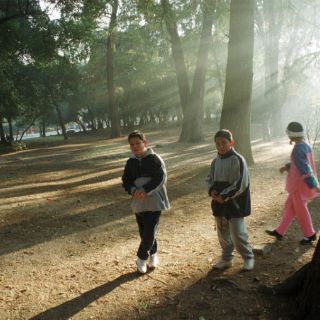 Uno de cada tres mexicanos tiene deficiencia de vitamina D