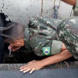 Suben a 259 las muertes por fiebre amarilla en Brasil