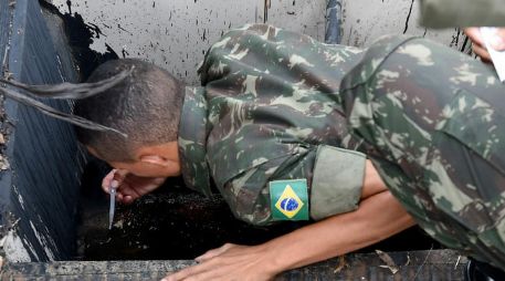 En al menos 115 municipios brasileños se detectaron casos de fiebre amarilla. AFP / ARCHIVO