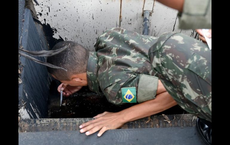 En al menos 115 municipios brasileños se detectaron casos de fiebre amarilla. AFP / ARCHIVO