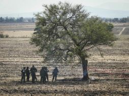Las cuatro primeras tomas se localizan en los poblados La Mato, El Alacrán y San Gaspar, en el municipio de Atotonilco. EL INFORMADOR / ARCHIVO