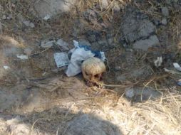 Policía Investigadora levantó indicios en el lugar mientras el cráneo y el bulto fueron trasladados a las instalaciones del IJCF. ESPECIAL /