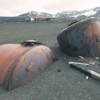 Los restos de una ballenera fantasma yacen en la Antártida