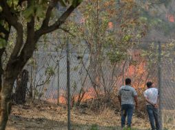 En los últimos incendios ocurridos en diferentes zonas del Estado, se consumieron más de 32 mil hectáreas de bosque. EL INFORMADOR / ARCHIVO