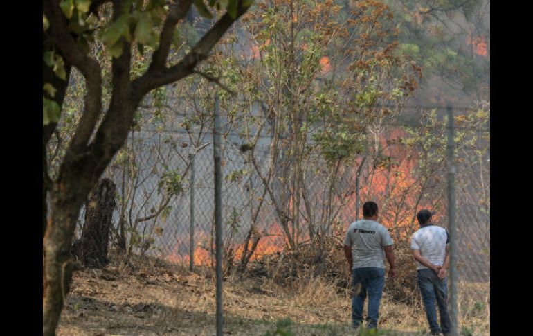 En los últimos incendios ocurridos en diferentes zonas del Estado, se consumieron más de 32 mil hectáreas de bosque. EL INFORMADOR / ARCHIVO