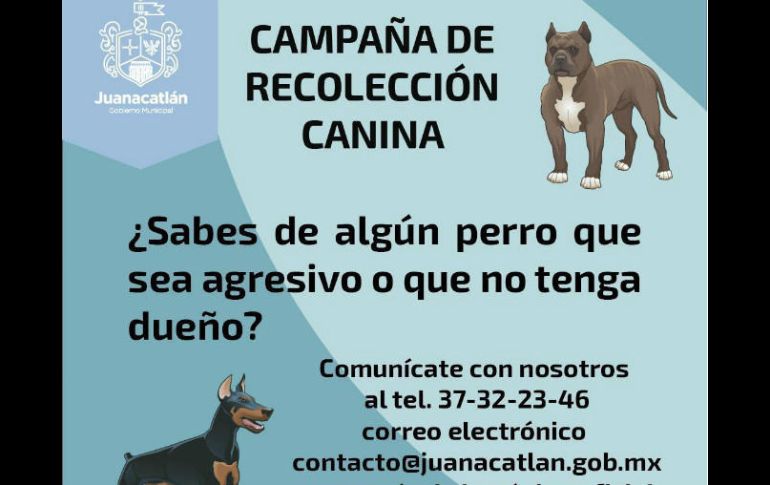 Detallan que este año han recibido 18 reportes de mordedura de perros agresivos. FACEBOOK / Juanacatlán Gobierno Ciudadano