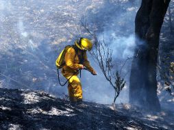 Un brigadista trabaja en el combate a un incendio forestal registrado este mes. EL INFORMADOR / Archivo