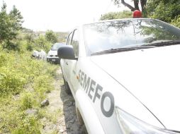 Peritos forenses de Jalisco. EL INFORMADOR / Archivo