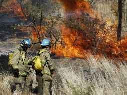 La contaminación provocada por incendios obligó a declarar esta tarde una nueva emergencia atmosférica. SUN / ARCHIVO
