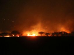 Bomberos de Zapopan trabajan en coordinación con brigadas de la Semadet y la Conafor. ESPECIAL / Bomberos Zapopan