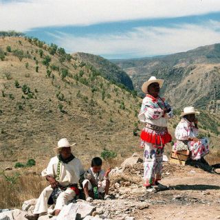 La UdeG condena asesinato de líder wixárika en Bolaños