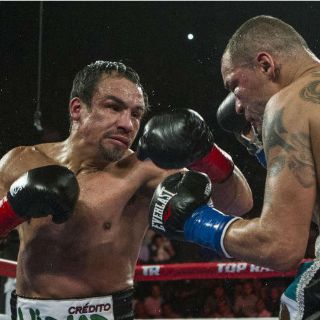Juan Manuel Márquez volvería al ring en julio