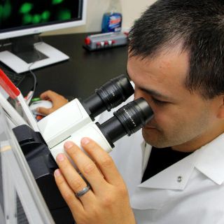 Proteínas en orina avisan de rechazo de riñón trasplantado