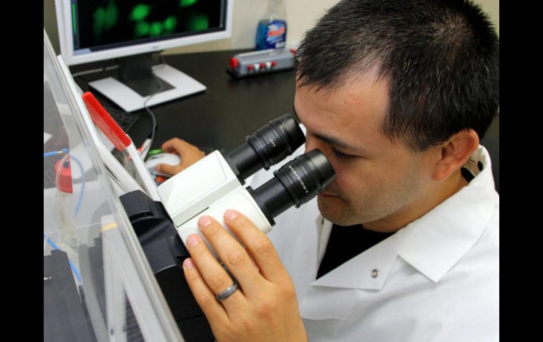 Durante el estudio, los investigadores han analizado muestras de orina de 30 pacientes. EFE / ARCHIVO