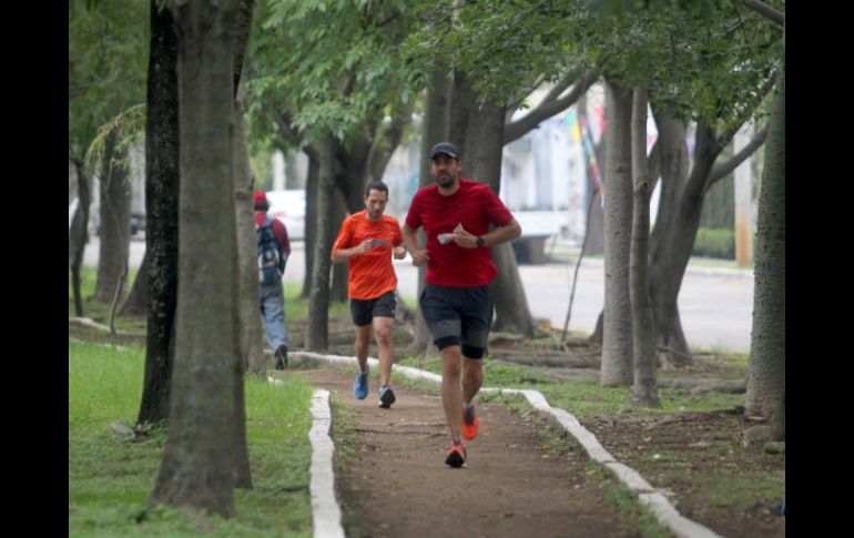 Conocer tu ritmo cardíaco puede ayudarte a diseñar los entrenamientos de ejercicio adecuados para llegar a tus metas fitness. EL INFORMADOR / ARCHIVO