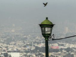 La contingencia en fase 1 fue activada a las 15:00 horas de este viernes. EL INFORMADOR / ARCHIVO