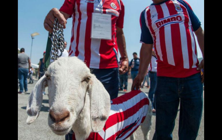 La capital de Jalisco vibra apoyando al Rebaño Sagrado. MEXSPORT / J. Martínez
