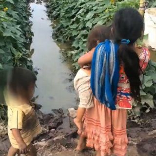 Desaparecen 80 jornaleros indígenas en Chihuahua