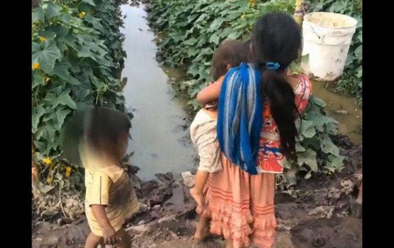 El secretario estatal de Trabajo confiesa que es difícil seguirles el rastro porque no conocen al enganchador. SUN / ARCHIVO