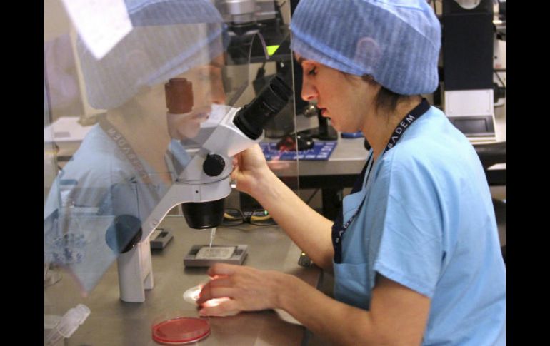 La tecnología genética se podría utilizar para 'diseñar' a nuestros hijos antes de que nazcan. EFE / ARCHIVO