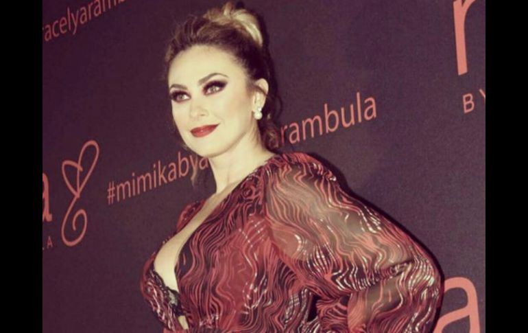 Aracely Arámbula dijo que no ha autorizado que su nombre salga en la serie de Netflix. INSTAGRAM / aracelyarambula