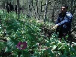 El diario apunta que las ganancias alimentan con armas a los grupos criminales que controlan Guerrero. NTX / ARCHIVO