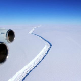 Casi desprendido, el iceberg más grande que se haya conocido