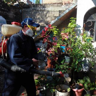 Bajan casos de dengue en Jalisco; sube Zika